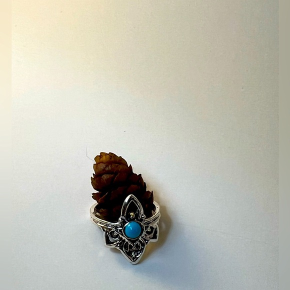 💍 Silver Turquoise Ring - Picture 1 of 2